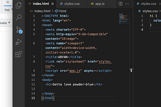 10 Steps to Setup HTML, CSS, & JS in VSCode