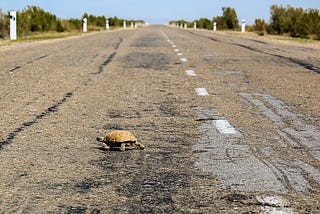 Turtle as a Worker