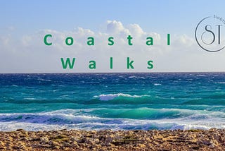 Exploring Stunning Sydney Coastal Walks With Siobhan Tuite