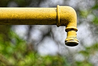 Sewage Coming Out of Pipe in Yard