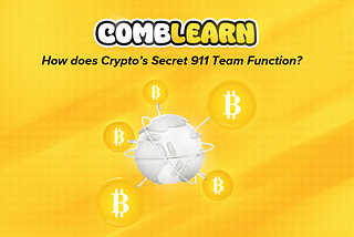 How does Crypto’s Secret 911 Team Function?
