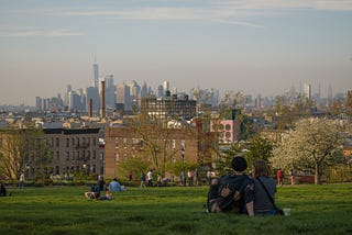 Nature is Nurture: How Do New Yorkers Seek out Wellness in Greenspaces?