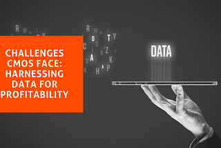 Challenges CMOs Face: Harnessing Data for Profitability