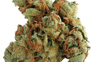 Discovering Quality Cannabis at Calyx + Trichomes Dispensary