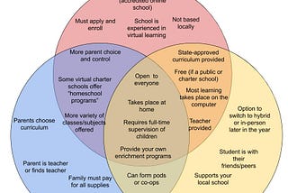 Distance Learning, Virtual School, and Homeschooling: What’s the Difference?