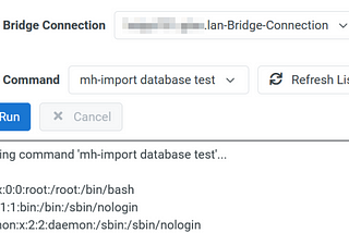 Arbitrary Command Execution in Metadata Hub (CVE-2024–37382)