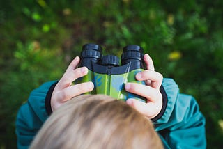 Scotland helped me rediscover my California backyard birdlife