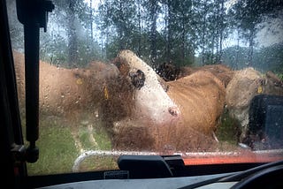 Why we won’t be having many young ranchers