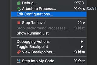 How to use PyCharm CE debugger with Behave