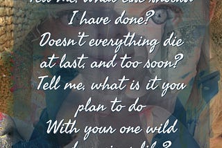 I said Yes to Being Alive: I Took an Unexpected Lover