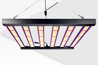 How to Choose the Right LED Grow Lights for Hydroponics