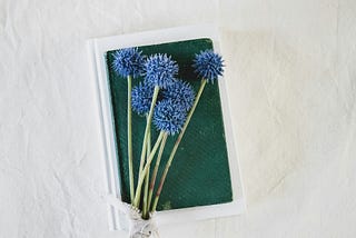 A bundle of vibrant blue globe thistles with long green stems rests diagonally on top of two stacked books. The top book is dark green with a worn cover, and the bottom book is white. The thistles are bound together at the bottom with a simple white ribbon. The background is a soft, light-colored fabric, possibly canvas or linen, creating a gentle and rustic aesthetic.