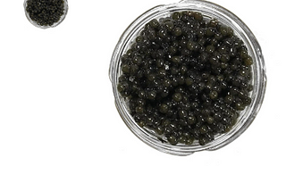 How to Choose the Best Osetra Caviar for Your Palate