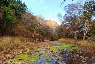 RANTHAMBHORE. A FOREST WITH A DIVERSE LANDSCAPE