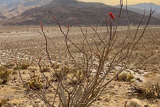 How Solo Hiking as a Woman is a Metaphor for Life
