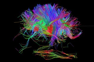 4 Neuroplastic Habits That Rewire Your Brain at Any Age