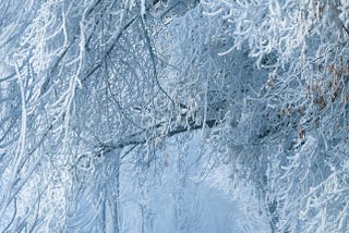 Cornelius Clark and the Hungry Ghosts of Christmas