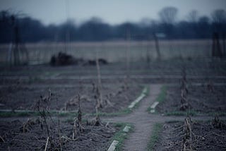 The Angel’s Kitchen Garden