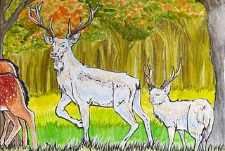 Two white stags follow a pair of deer through a sunlit field.