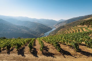 Europe’s “Heroic” vineyards at odds with climate change