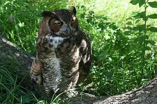 People Centered Blockchains