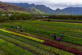 Buildofarm’s O-Farming Platform Expands Accessibility to Oil Brokerage Education