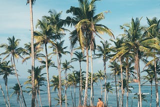 Mirissa Beach Retreat: Bask in Sun-Kissed Bliss with Ruisha Tours