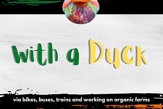 Round Ireland with a Duck