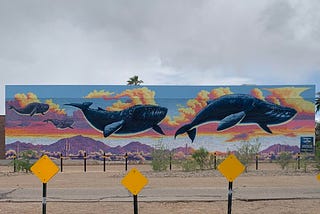 Two murals in Tucson