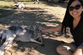 Nature Walks & Kangaroos: Brisbane Immersions, Part 1