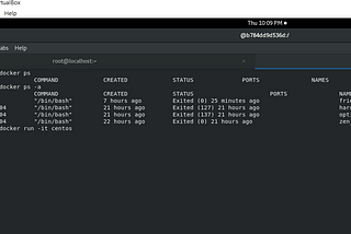 ML project deployment on Docker Container