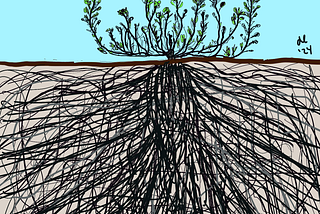 The Soil of Our Minds And How Learning Journals Cultivate Perception and Growth