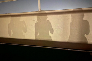 Do you know your shadow self?
