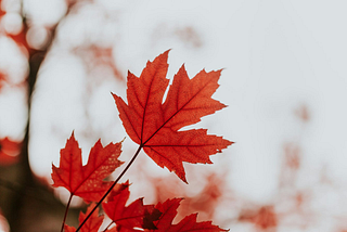I am Canadian