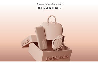 dreambid auction auctions luxury tech fashion boxes auction house