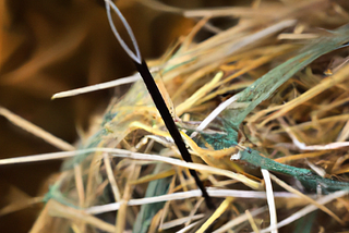 Finding the rare disease needle in the healthcare data haystack
