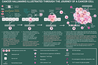 A Brief Understanding of the Cancer Hallmarks and Enabling Characteristics: Part 1