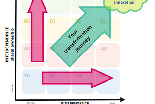 Transforming Numero Retail: An Org Topologies Perspective