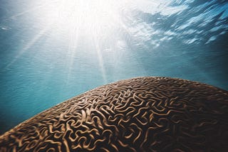 Jung’s Collective Unconscious Explained