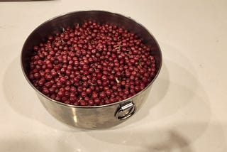 Fall harvest in the Catskills