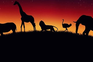 The New Guardian of the Jungle | Machine Learning Securing Wildlife
