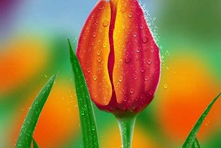 Tulip in Case — By Unma Jajodia