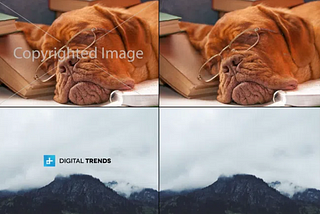 Watermark Removal with Deep Image Priors