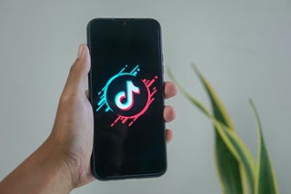 TikTok for В2В