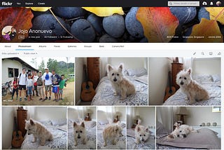 10,000 photos and videos from flickr to Google Photos