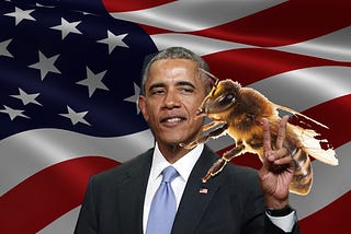 A Bee Sacrificed Itself so I could see Obama