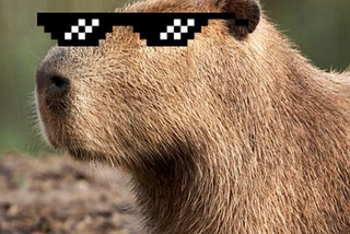 Trabalhando com verificações e esperas de elementos com o Capybara,SitePrism e Rspec.(Parte II).
