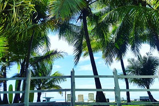A wooden fence, palm trees and sun loungers against a blue sky with white clouds