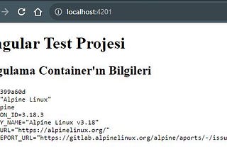 Docker Container’da Çalışan Bir Angular Uygulamasından Container Bilgilerine Erişmek