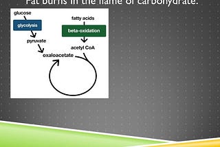 https://chrismasterjohnphd.com/mwmpro/mwm-energy-metabolism-monthly-subscription/16-anaplerosis-carbs-spare-protein-ways-fat-cant